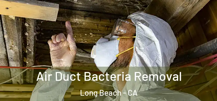  Air Duct Bacteria Removal Long Beach - CA