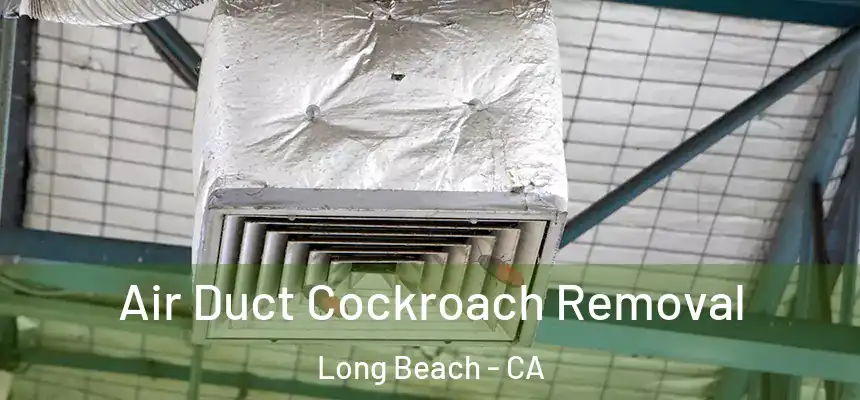  Air Duct Cockroach Removal Long Beach - CA
