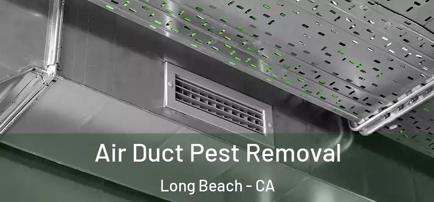  Air Duct Pest Removal Long Beach - CA