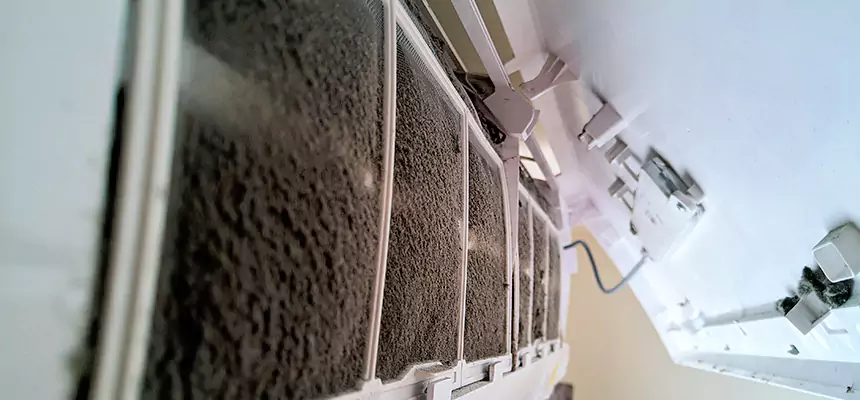 Preventive Air Duct Bacteria Removal in Long Beach