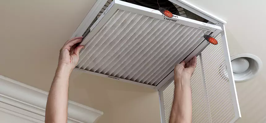 Preventive Cockroach-Proofing for Ducts in Long Beach