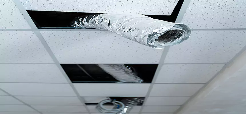 Our Air Duct Pet Hair Removal Services in Long Beach, CA