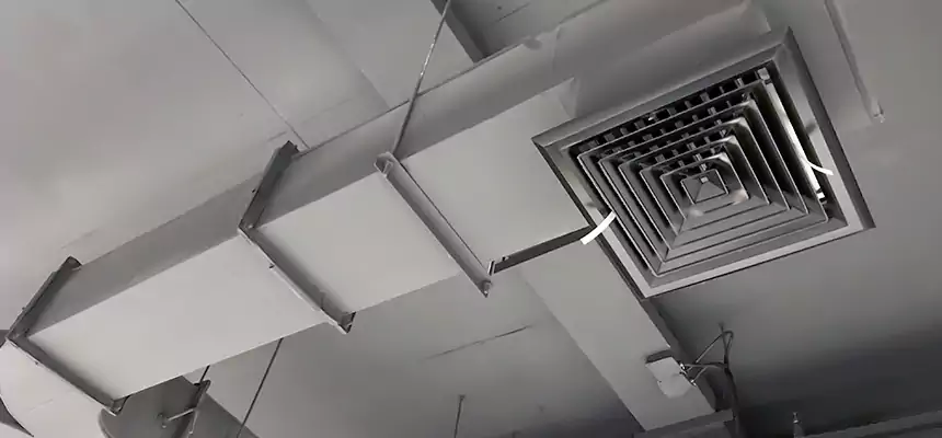 Restorative Allergy Relief Vent Cleaning – Coil, Blower & Housing Detail in Long Beach