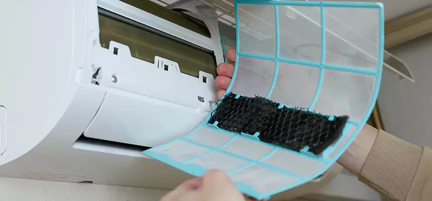 Gentle Ductwork Odor-Control Pet Dander Duct Cleaning in Long Beach, CA