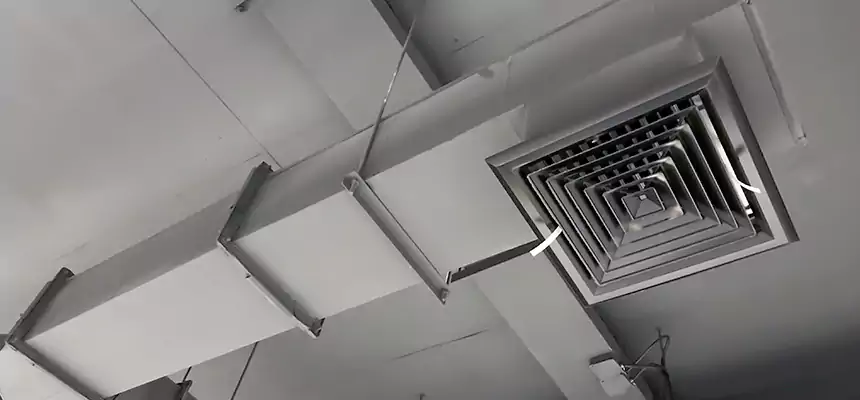 Our Rodent Droppings In Vents Services in Long Beach, CA