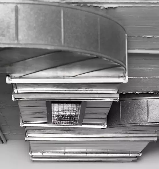 Professional Air Duct Pet Hair Removal in Long Beach, CA