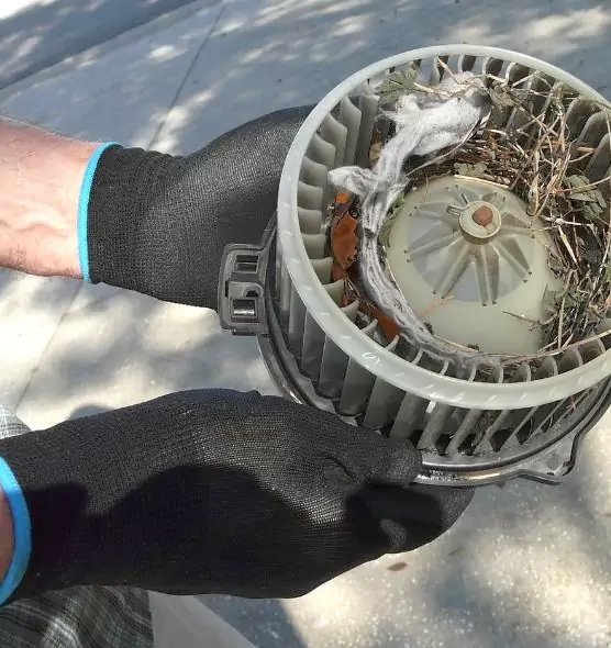 About Air Duct Rat Removal in Long Beach, CA