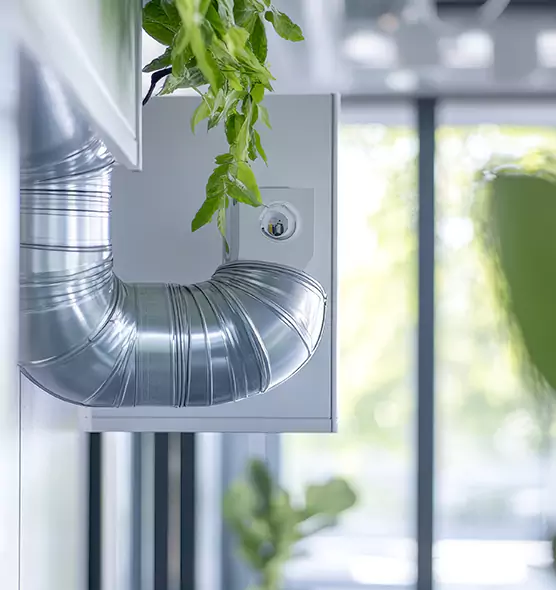 Professional Eco-Safe Dryer Vent Cleaning in Long Beach, CA