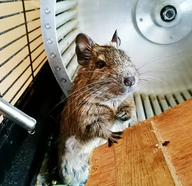 Why Homeowners & Businesses Trust Us Long Beach, CA