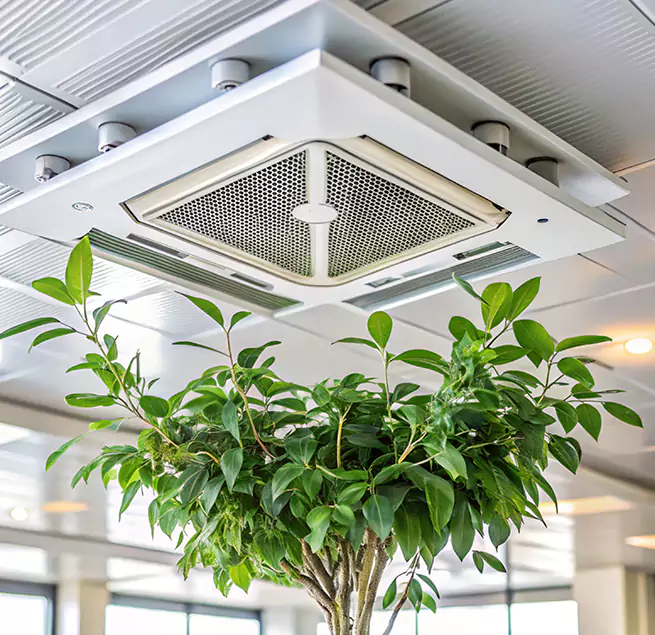 Why Homeowners & Businesses Trust Us in Long Beach, CA?