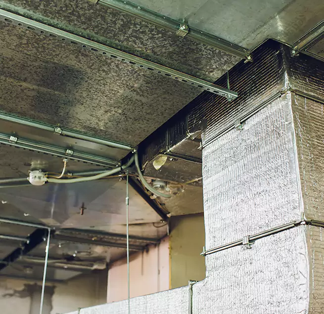 Why Homeowners & Businesses Trust Us in Long Beach, CA?